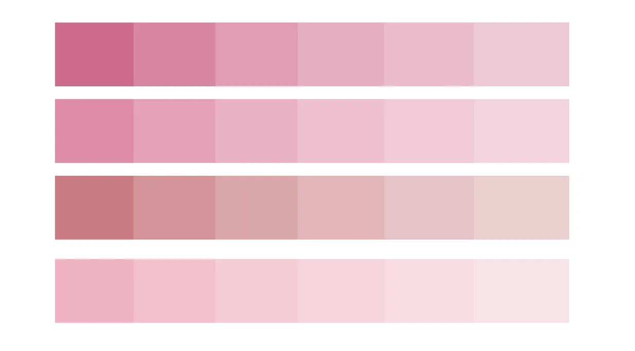 paleta de cores rose